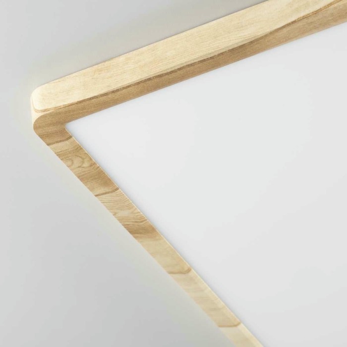 Светильник накладной Citilux Бейсик CL738K502V