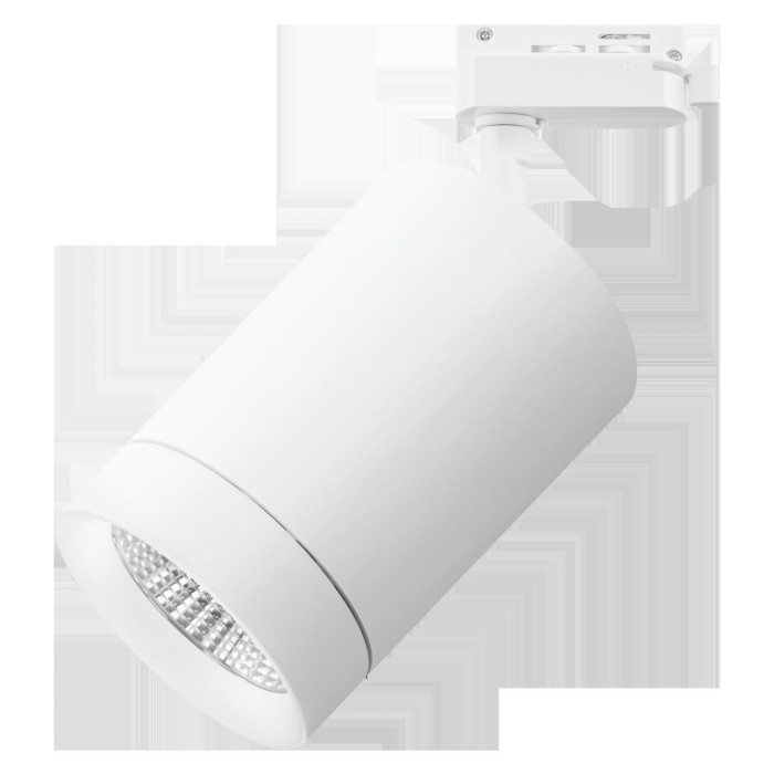 Трековый светодиодный светильник Lightstar Canno Led 303262