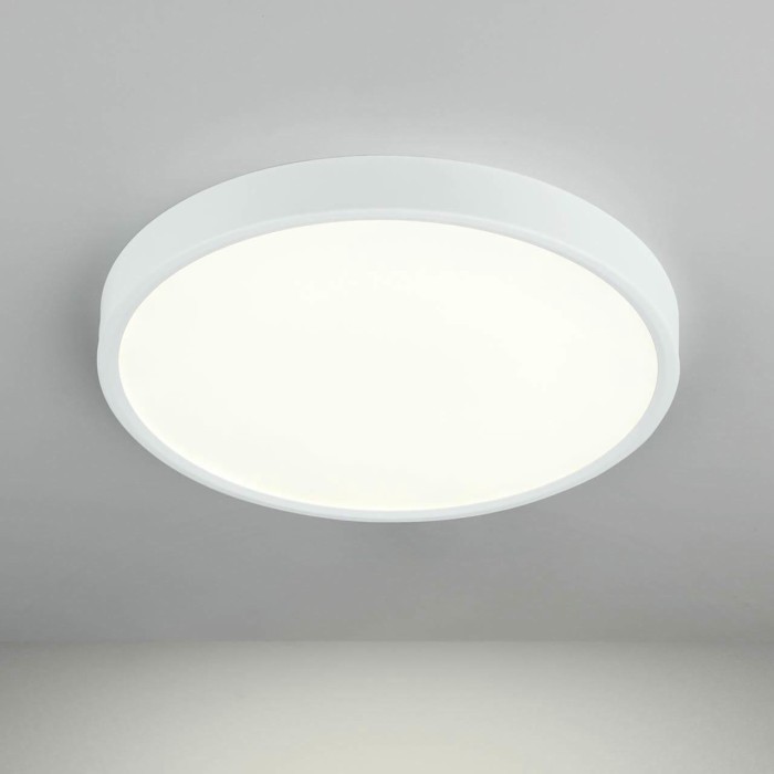 Потолочный светодиодный светильник Elektrostandard DLR034 24W 4200K a043016