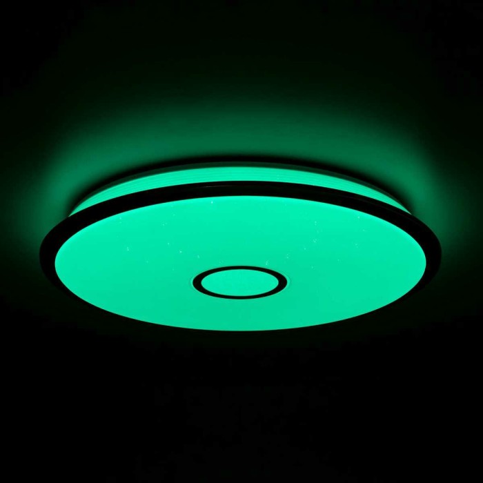 Потолочный светодиодный светильник Citilux Старлайт Смарт CL703A100G