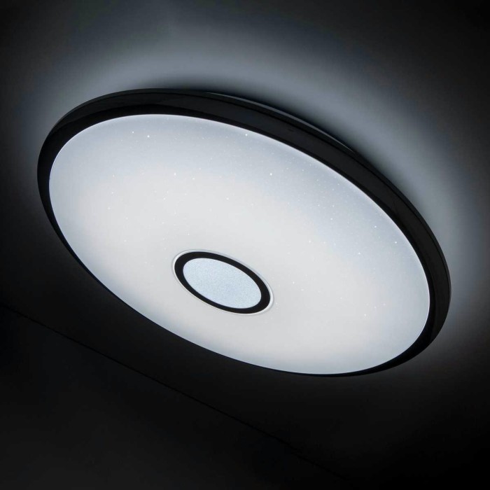 Потолочный светодиодный светильник Citilux Старлайт Смарт CL703A100G