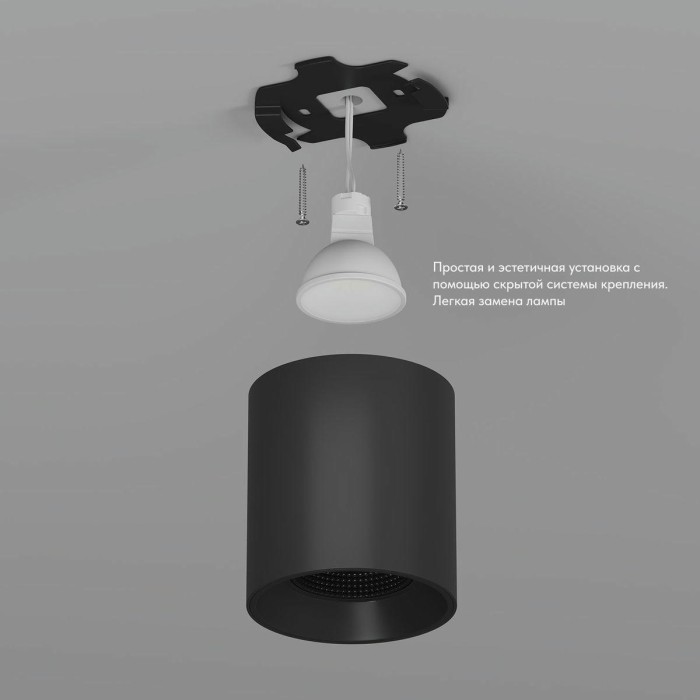 Накладной светильник Denkirs Rodvig DK3090-BK
