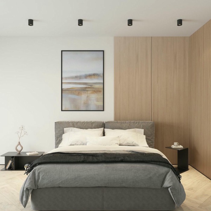 Накладной светильник Denkirs Rodvig DK3090-BK