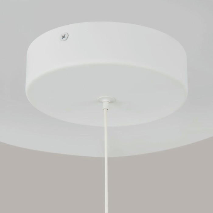 Подвесной светодиодный светильник Maytoni Technical Ray P021PL-L10W