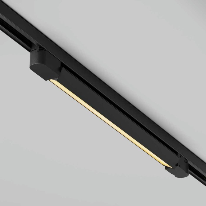 Трековый светодиодный светильник Maytoni Technical Basis TR196-3-20W2.7K-B