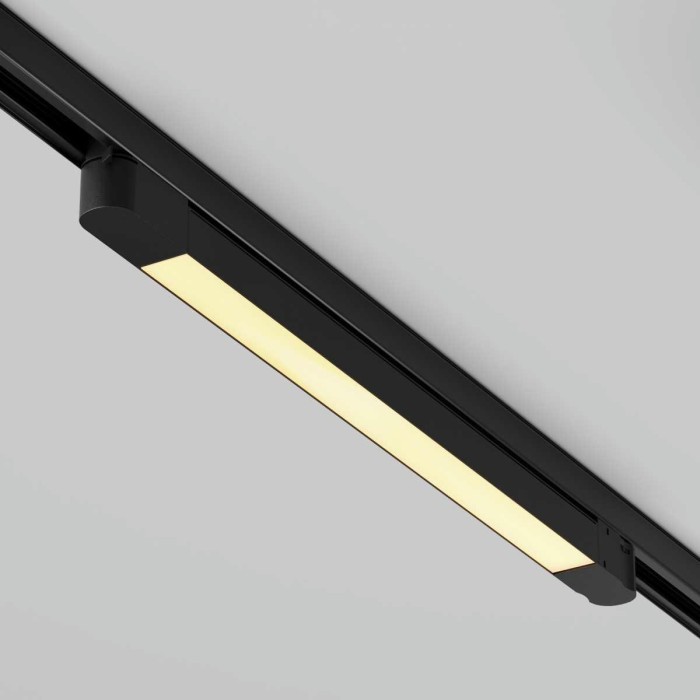 Трековый светодиодный светильник Maytoni Technical Basis TR196-3-20W2.7K-B