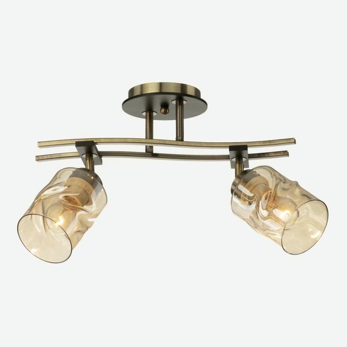 Спот Citilux Мерида CL142124