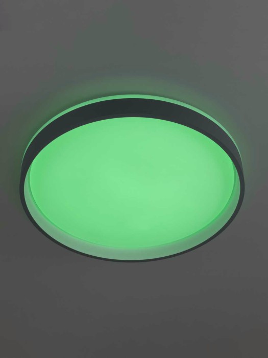 Светильник потолочный Citilux ENZO CL753453G