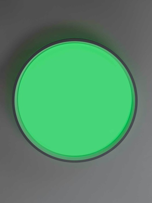 Светильник потолочный Citilux ENZO CL753453G