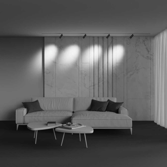 Трековый светильник Maytoni Technical TR212-4-12WTW-DD2-Z-B