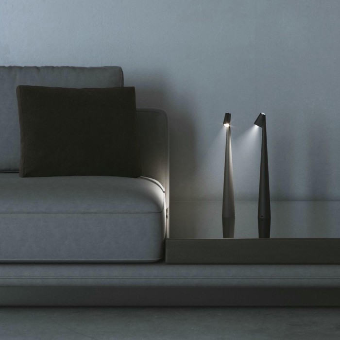 Настольная лампа Elektrostandard Elite TL70250 a068070