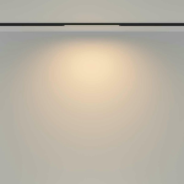 Трековый светильник Maytoni Technical TR173-1-8WTW-B