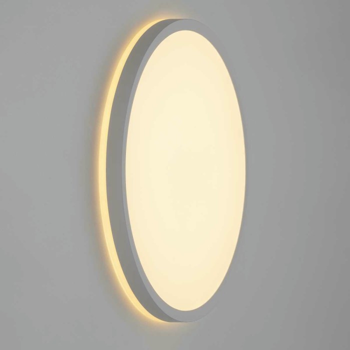 Накладной светильник Citilux CL748320