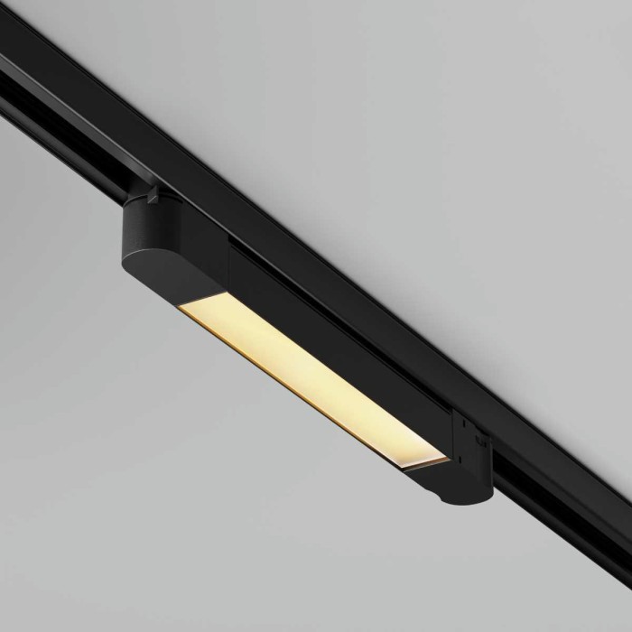 Трековый светодиодный светильник Maytoni Technical Basis TR196-3-10W2.7K-B