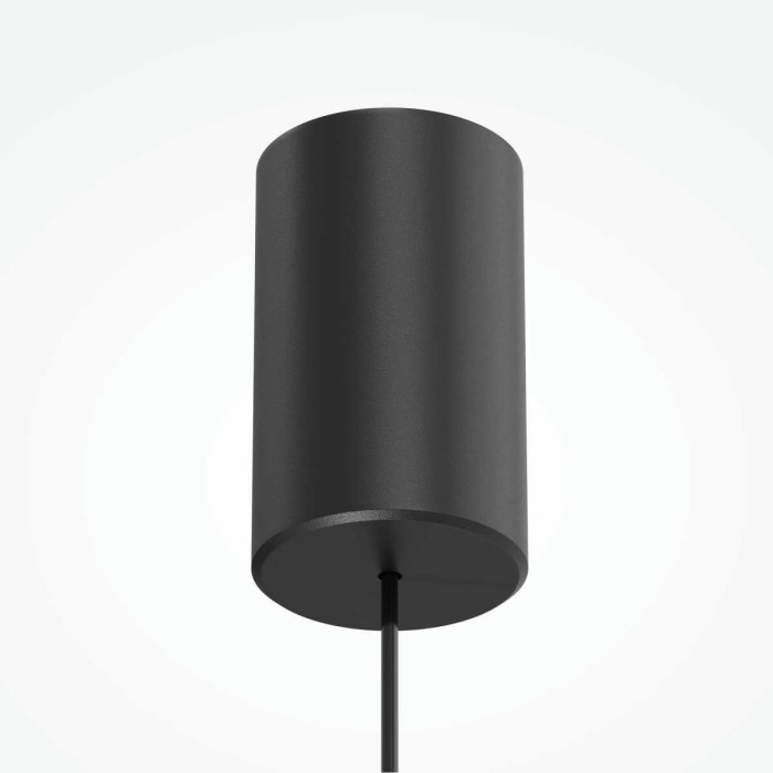 Подвесной светильник Maytoni Technical P113-L12-3K-B