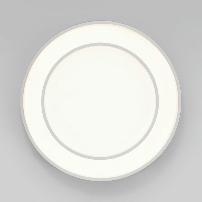 Потолочный светодиодный светильник Eurosvet Force 90331/2 белый