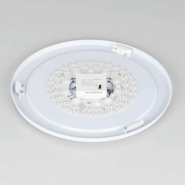 Потолочный светодиодный светильник Citilux Лаконика CL725480G