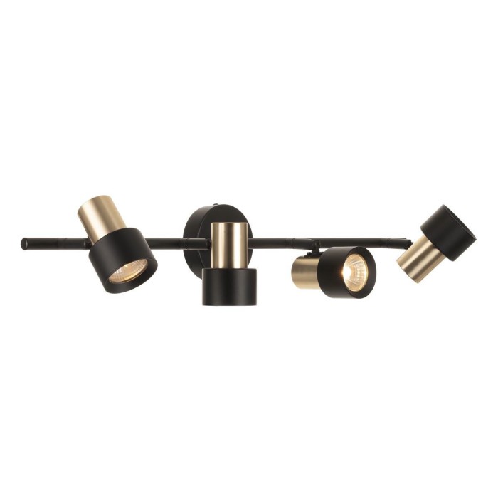 Спот поворотный Citilux SAT CL505641