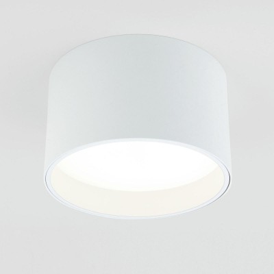 Потолочный светодиодный светильник Elektrostandard Banti 25123/LED 13W 3000K белый a063927