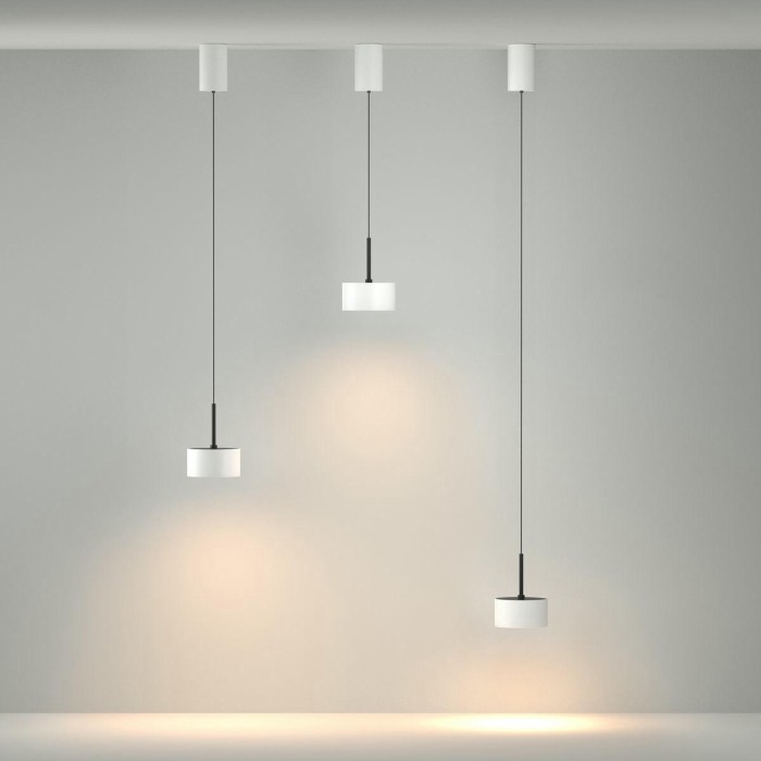 Подвесной светильник Maytoni Technical P102PL-12W3K-W