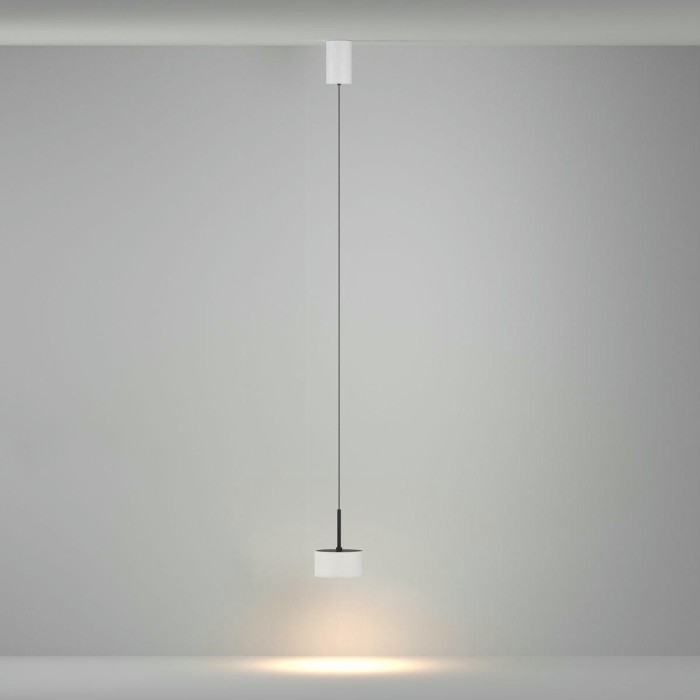 Подвесной светильник Maytoni Technical P102PL-12W3K-W