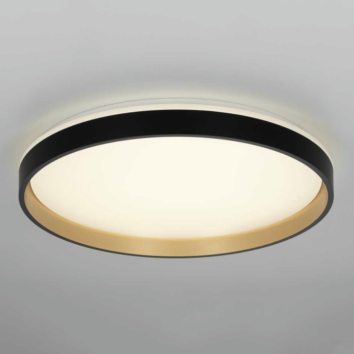 Светильник потолочный Citilux ENZO CL753511G