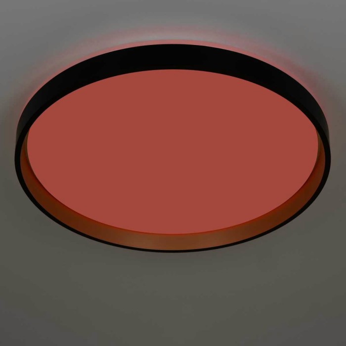 Светильник потолочный Citilux ENZO CL753511G