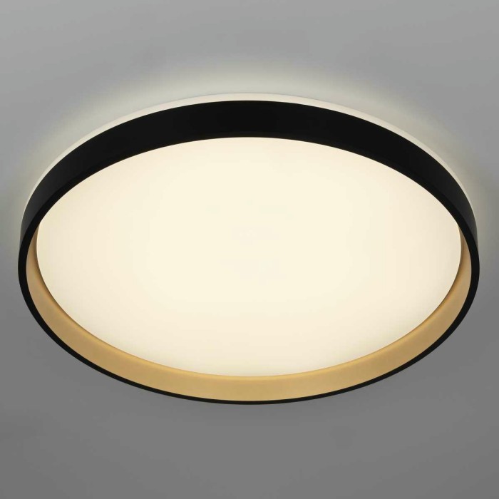 Светильник потолочный Citilux ENZO CL753511G