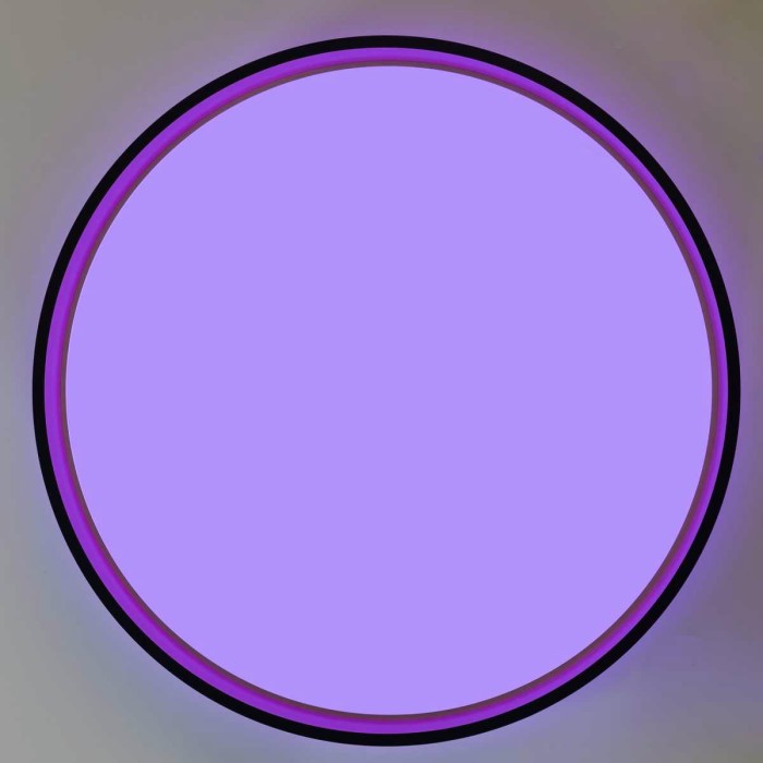 Светильник потолочный Citilux ENZO CL753511G