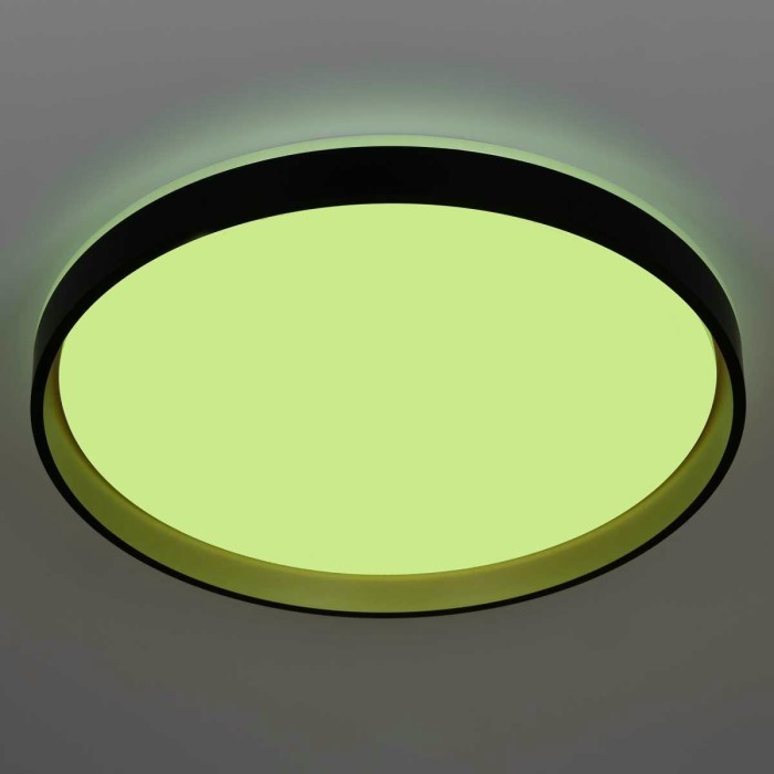 Светильник потолочный Citilux ENZO CL753511G