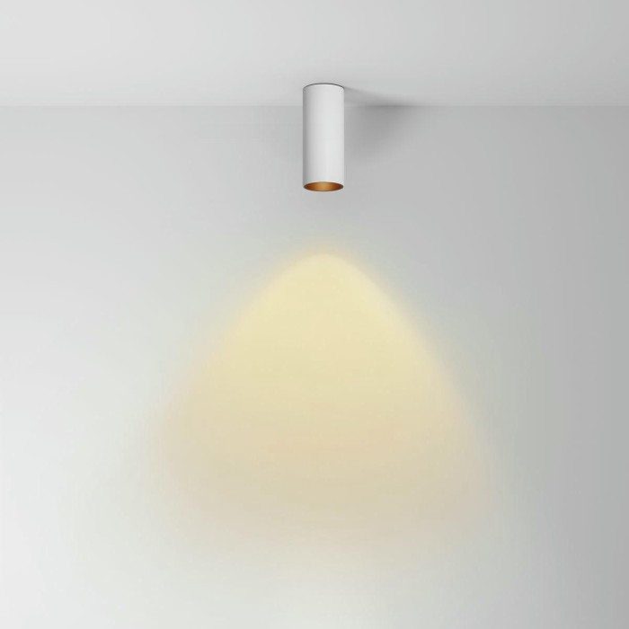 Потолочный светодиодный светильник Maytoni Technical Focus Led C056CL-L12W2.7K-W-W