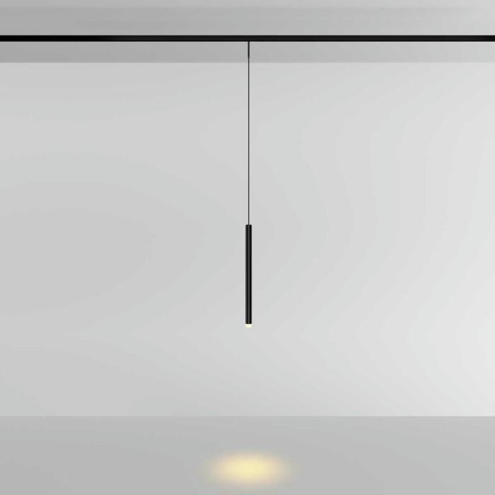 Трековый подвесной светильник Maytoni Technical Skim TR191-1-3W2.7K-M-B