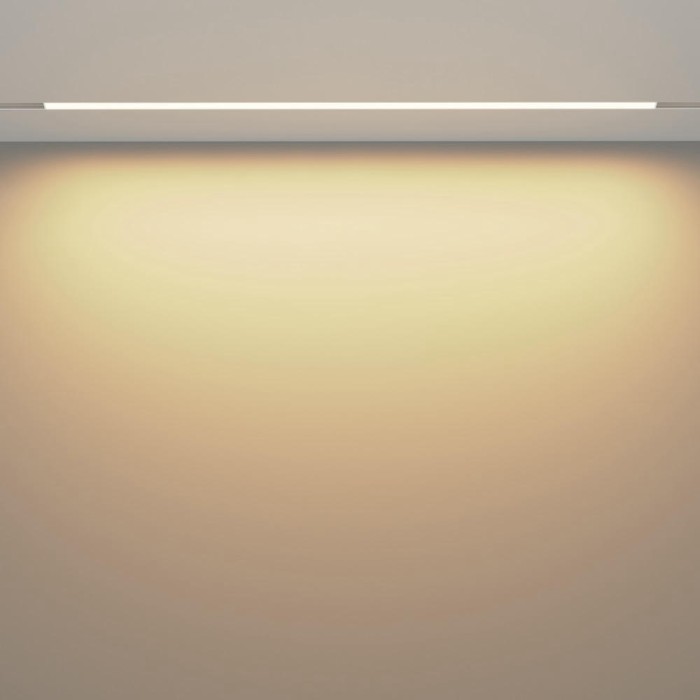 Трековый светодиодный светильник Maytoni Technical Exility Basis TR030-4-30W3K-WW-DS-W