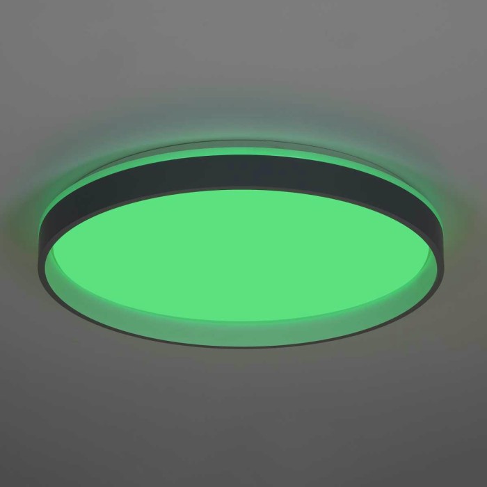 Светильник потолочный Citilux ENZO CL753513G