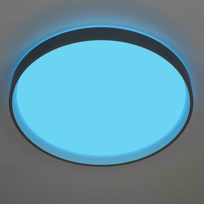 Светильник потолочный Citilux ENZO CL753513G