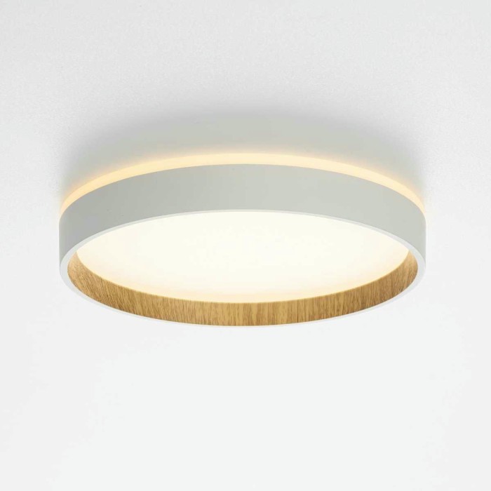 Потолочный светодиодный светильник Citilux Etalon CL750240