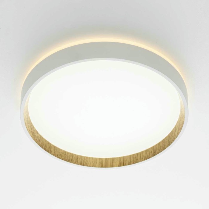 Потолочный светодиодный светильник Citilux Etalon CL750240