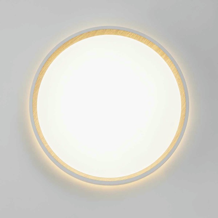 Потолочный светодиодный светильник Citilux Etalon CL750240