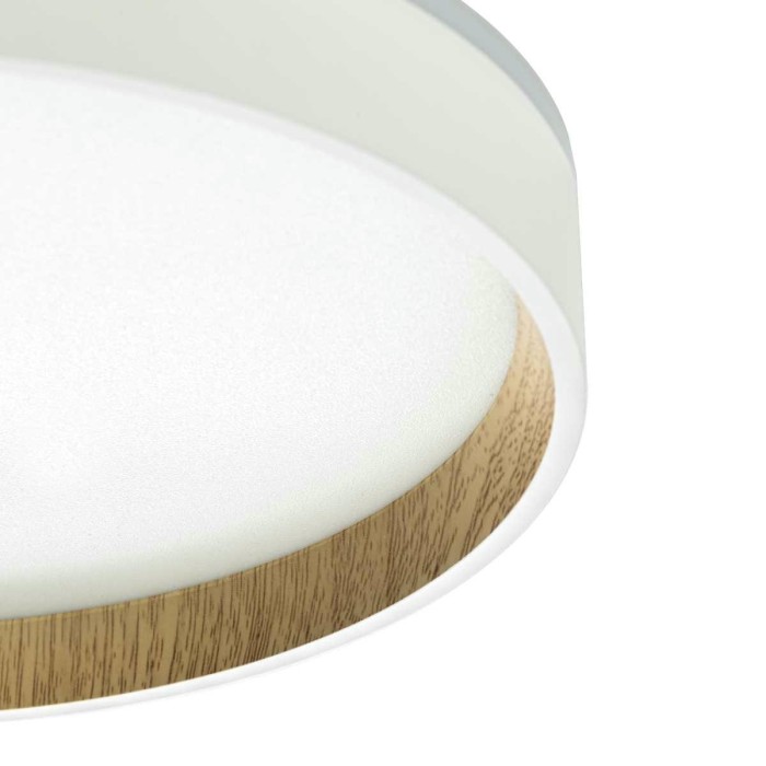 Потолочный светодиодный светильник Citilux Etalon CL750240