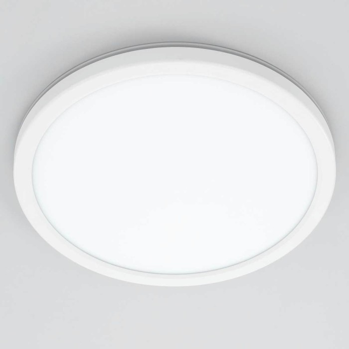 Потолочный светодиодный светильник Citilux Basic Line CL738240VL