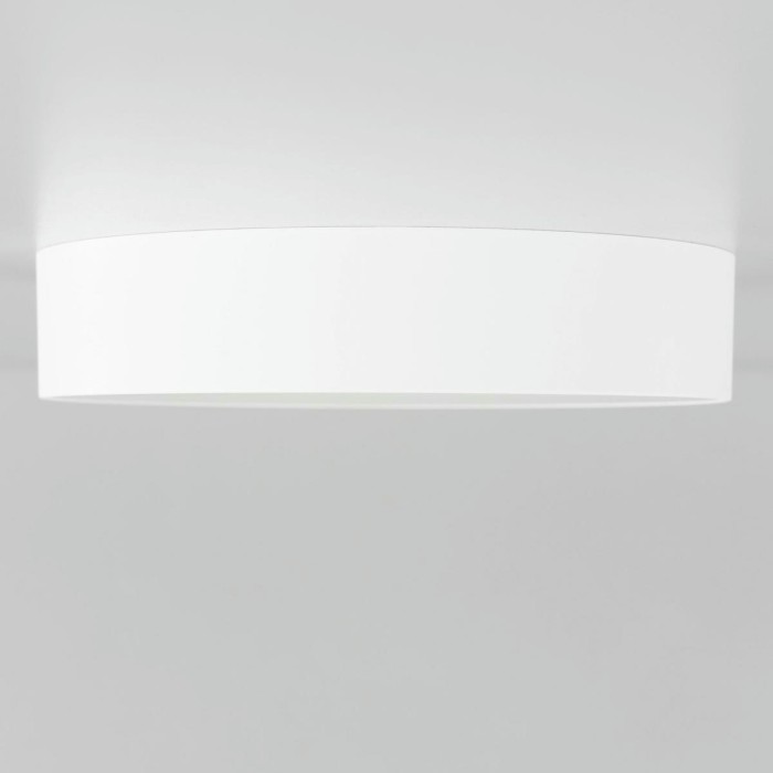 Накладной светодиодный светильник Citilux Тао CL712180N