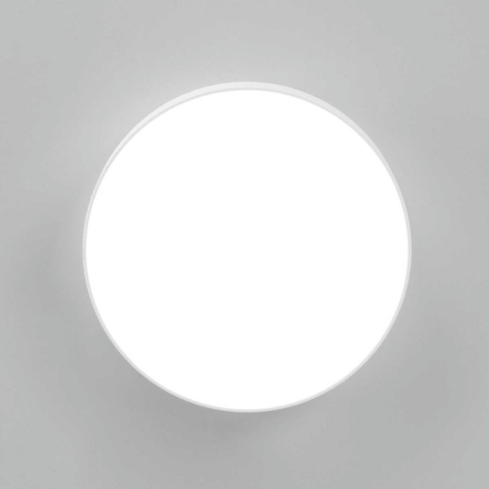 Накладной светодиодный светильник Citilux Тао CL712180N