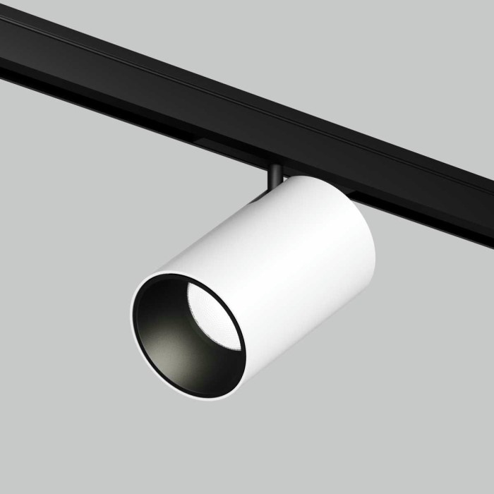 Трековый светильник Maytoni Technical Focus Led TR187-1-5W4K-M-BW