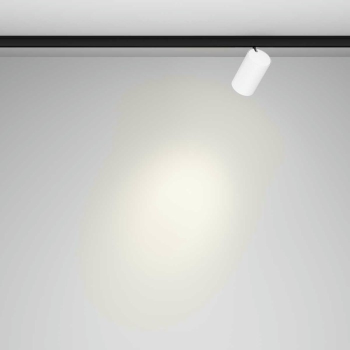 Трековый светильник Maytoni Technical Focus Led TR187-1-5W4K-M-BW