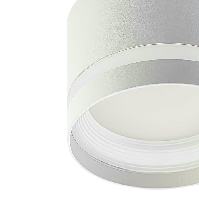 Потолочный светильник Citilux Hardy CL002C10