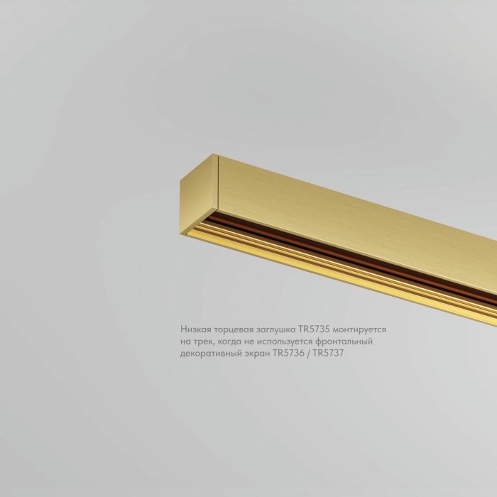 Заглушка торцевая Denkirs Shine Base (2 шт.) TR5735-SB