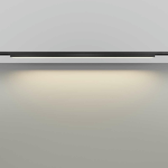 Трековый светильник Maytoni Technical Basis TR192-1-21W3K-B