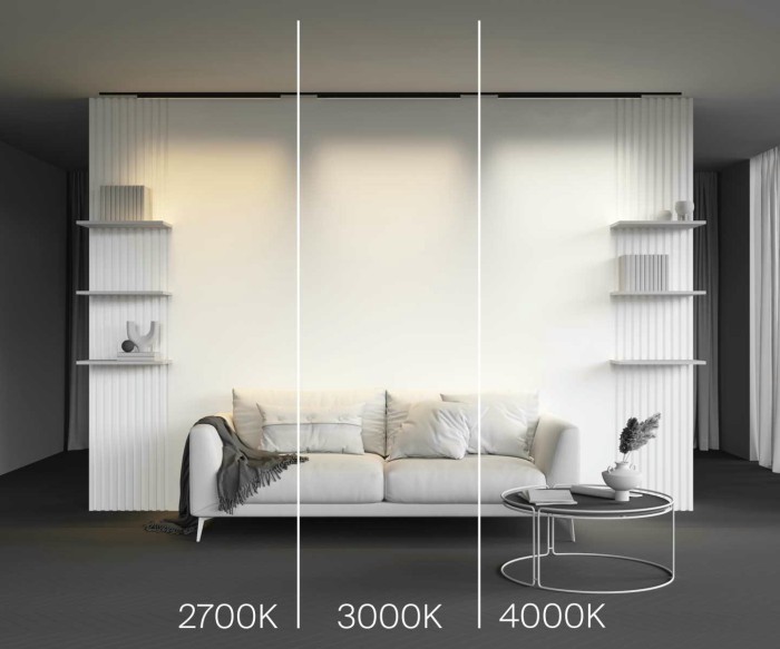 Трековый светильник Maytoni Technical Basis TR192-1-21W3K-B