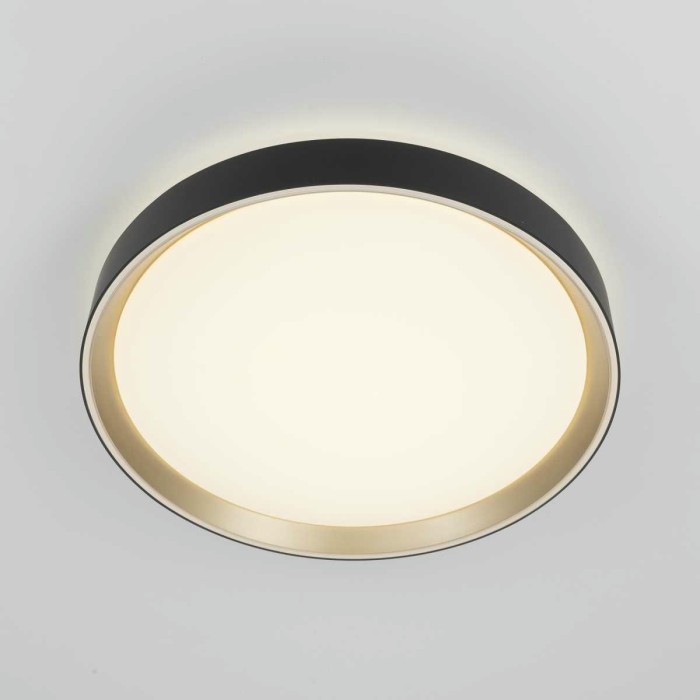 Потолочный светодиодный светильник Citilux Boss CL751351G