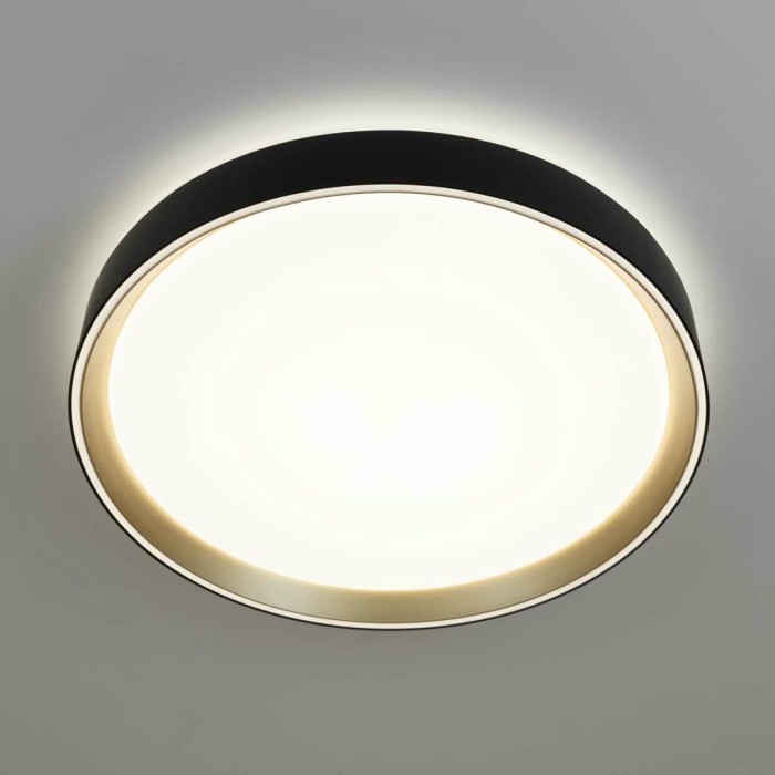 Потолочный светодиодный светильник Citilux Boss CL751351G